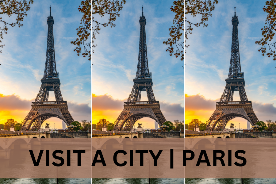 VISIT A CITY PARIS