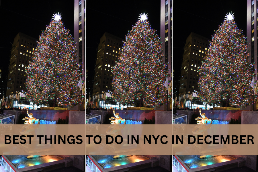 Best things to do in NYC in december